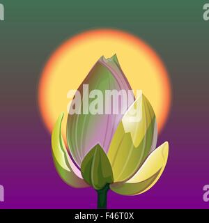 The lotus flower on the background of the rising sun. Vector Illustration Stock Vector