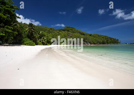 Dreamlike white sand beach with palm trees, Port Launay Marine National Park, Mahe Island, Seychelles Stock Photo