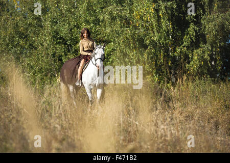 Beautiful girl riding a white horse Stock Photo