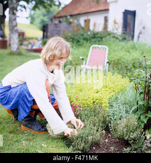 A woman in a garden, Sweden. Stock Photo