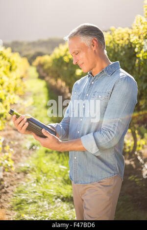 Smiling vintner looking at bottle of wine Stock Photo