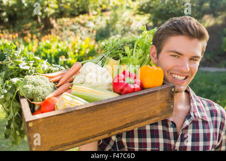 Smiling man carrying box of vegetables Stock Photo