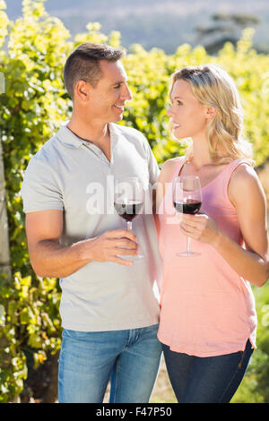 Smiling couple looking at each other with wineglass and standing next to grapevine Stock Photo