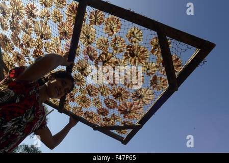 ASIA MYANMAR MYEIK DRY FISH PRODUCTION Stock Photo