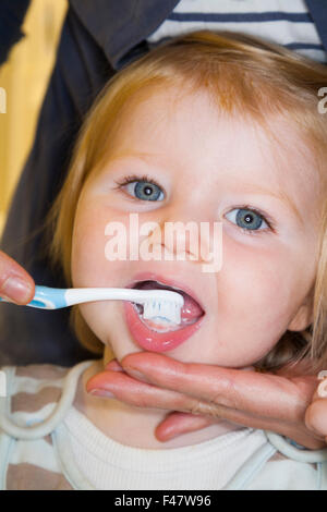 Child / baby having her milk teeth brushed with a toothbrush / tooth brush - by her mother. Stock Photo