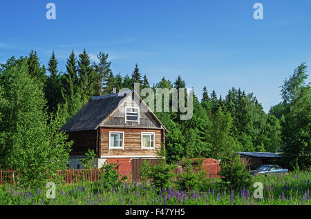 Village landscape - house near forest. Stock Photo