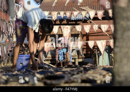 ASIA MYANMAR MYEIK DRY FISH PRODUCTION Stock Photo