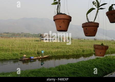 ASIA MYANMAR NYAUNGSHWE FLOATING GARDENS Stock Photo