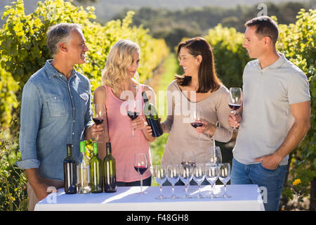 Smiling group talking and drinking wine next to grapevine Stock Photo