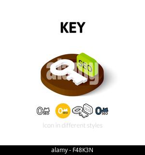 Key icon in different style Stock Vector