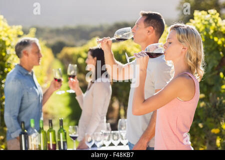 Couple drinking in front of other couple talking and drinking Stock Photo