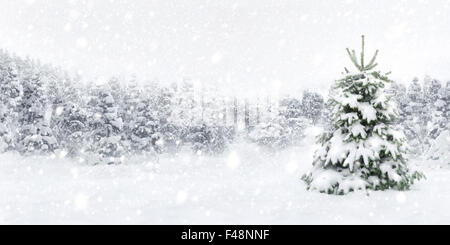 Outdoor panorama shot of a young fir tree in thick snow, for the perfect Christmas mood Stock Photo