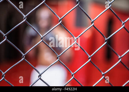 Boxer behind an iron fence Stock Photo