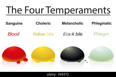 Four temperaments with corresponding humors or bodily liquids. Stock Photo