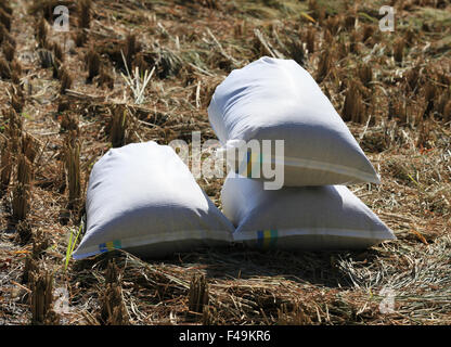 Bags with rice Stock Photo