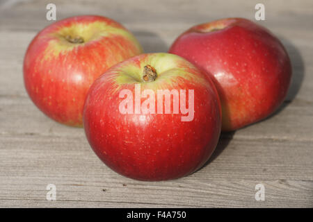 Apple-sort Akane Stock Photo