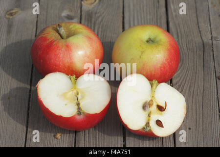 Apple-sort Akane Stock Photo