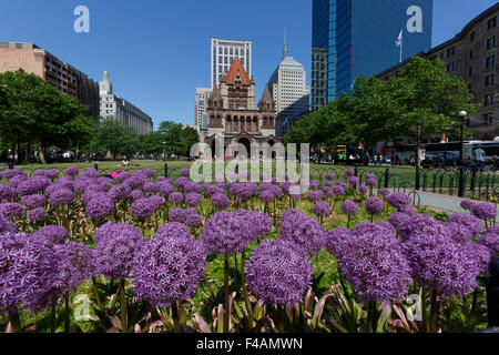 Trinity Church in Copley Square in  the City of Boston across Giant Allium flowerbed Stock Photo