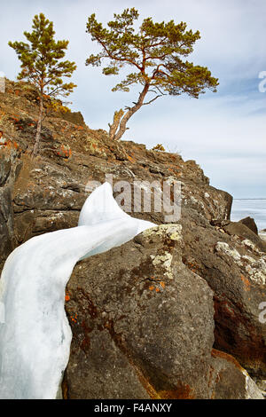 Lonely tree near Baikal lake Stock Photo