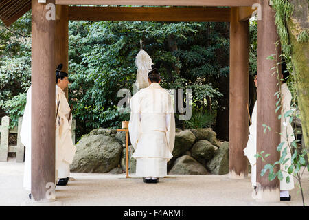 Nishinomiya shrine, Japan, Shinto Priests, Kannushi, with chief priest making offerings to four other priests. All wear Kammuri, black hats. Stock Photo