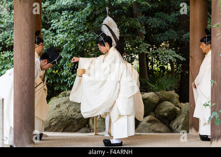 Nishinomiya shrine, Japan, Shinto Priests, Kannushi, with chief priest making offerings to four other priests. All wear Kammuri, black hats. Stock Photo