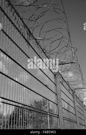 Barbed wire on a fence Stock Photo