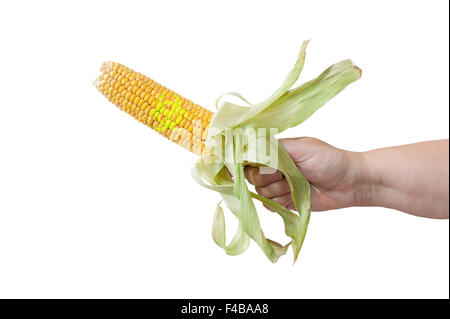 Corncob Biohazard Stock Photo