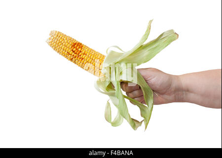 Corncob Biohazard Stock Photo