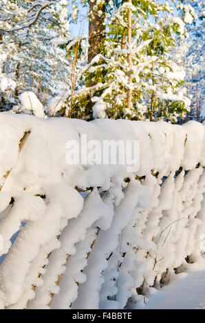 Wooden fence covered with fresh snow in winter Stock Photo - Alamy