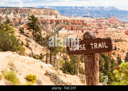 Horse Trail Stock Photo