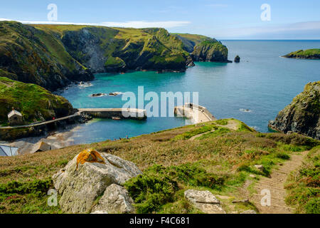 Cornwall coast - Mullion Cove, Lizard Peninsula, Cornwall, England, UK - view of the coast and harbour in summer Stock Photo