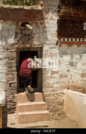 India, Jammu & Kashmir, Ladakh, Hemis Gompa Monastery, monk ducking to enter low door Stock Photo