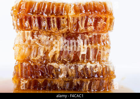 honeycomb with honey on a white background Stock Photo