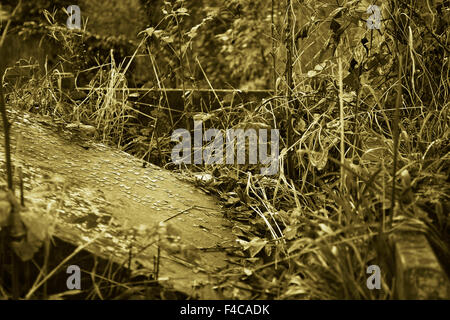 old broken grave Stock Photo