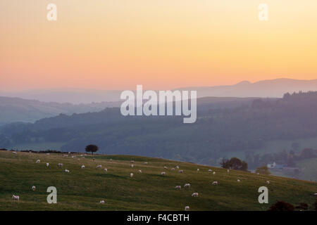 Sunset on the Welsh Borders near Knighton - view west from Stonewall Hill in Herefordshire towards the hills of mid Wales Stock Photo