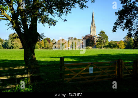 Salisbury Cathedral view from town path Salisbury across the water meadows Stock Photo