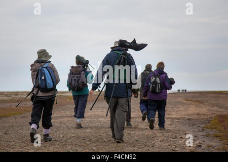 Southport, Merseyside, UK 16th October, 2015. Elderly, seniors Birdwatchers, using a spotting scope, telescope, and binoculars,  walking in Southport. They are watching the wildlife spectacle as waders and other birds move across the marsh feeding looking for roosting sites as the seawater rises. The first 500 Pink-footed geese have made the 500 mile journey from Iceland to spend the next month at Marshside and roosting on the local mere.  Over the next couple of weeks numbers will steadily increase with an estimated 100,000 geese expected to arrive from Iceland. Stock Photo