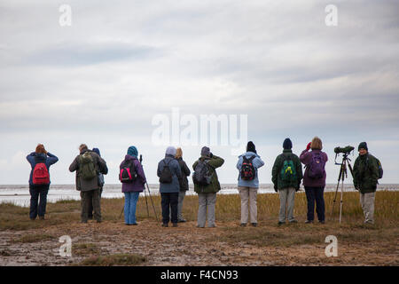 Southport, Merseyside, UK 16th October, 2015. Elderly, seniors Birdwatchers, using a spotting scope, telescope, and binoculars,  descend on Southport Ribble Estuary. They are watching the wildlife spectacle as waders and other birds move across the marsh feeding looking for roosting sites as the seawater rises. The first 500 Pink-footed geese have made the 500 mile journey from Iceland to spend the next month at Marshside and roosting on the local mere.  Over the next couple of weeks numbers will steadily increase with an estimated 100,000 geese expected to arrive from Iceland. Stock Photo