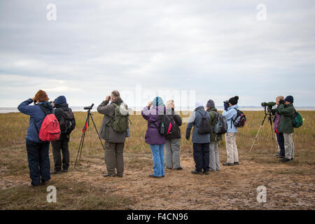 Southport, Merseyside, UK 16th October, 2015. Elderly, seniors Birdwatchers, using a spotting scope, telescope, and binoculars,  descend on Southport. They are watching the wildlife spectacle as waders and other birds move across the marsh feeding looking for roosting sites as the seawater rises. The first 500 Pink-footed geese have made the 500 mile journey from Iceland to spend the next month at Marshside and roosting on the local mere.  Over the next couple of weeks numbers will steadily increase with an estimated 100,000 geese expected to arrive from Iceland. Stock Photo