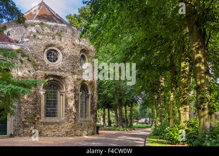 The grounds of Bury St Edmunds Abbey and St Edmundsbury Cathedral, Bury St Edmunds, Suffolk, England, UK Stock Photo
