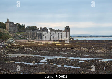 St Andrews castle and West Sands, Scotland Stock Photo