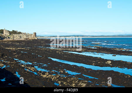 St Andrews castle and West Sands, Scotland Stock Photo