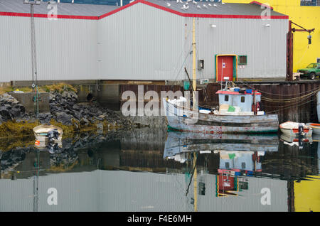 Greenland, capitol city of Nuuk. Nuuk harbor, fishing boats with reflection. Stock Photo