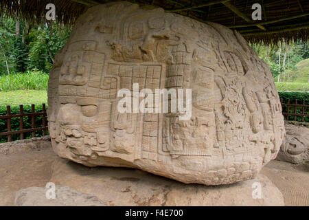 Guatemala, Izabal, Quirigua National Park. Mayan archaeological site, Classic Period (AD 200-900). Zoomorph P, masterpiece of Mesoamerican art, carved 20 ton stone (Large format sizes available). Stock Photo