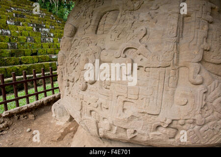 Guatemala, Izabal, Quirigua National Park. Mayan archaeological site, Classic Period (AD 200-900). Zoomorph P, masterpiece of Mesoamerican art, carved 20 ton stone (Large format sizes available). Stock Photo