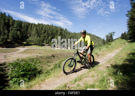 Cloudcroft, New Mexico, USA (MR). Stock Photo