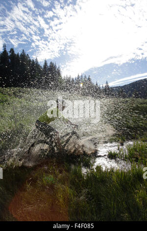 Cloudcroft, New Mexico, USA (MR). Stock Photo