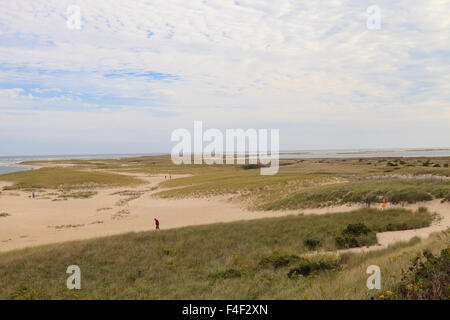 Beach dunes in summer in Chatham, Massachusetts on Cape Cod. Stock Photo