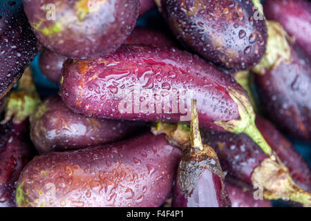 Eggplant aubergine, Drops on eggplants, vegetable market Aubergines Stock Photo