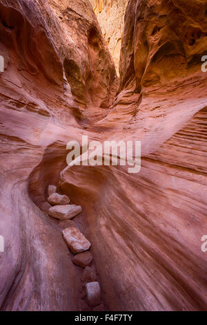 USA, Utah, Emery, Little Wildhorse Canyon. Stock Photo